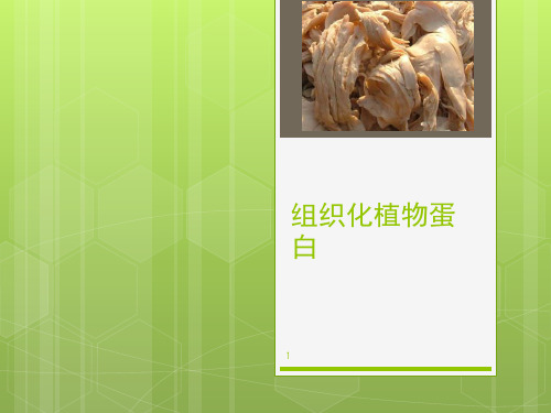 经典：组织化植物蛋白