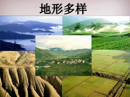 七年级历史与社会上册第二单元第2课第1框地形多样课件1人教版