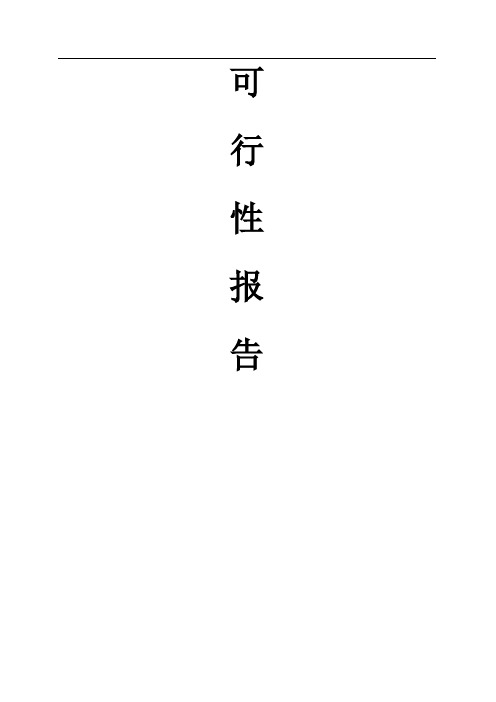 漆包线可行性报告