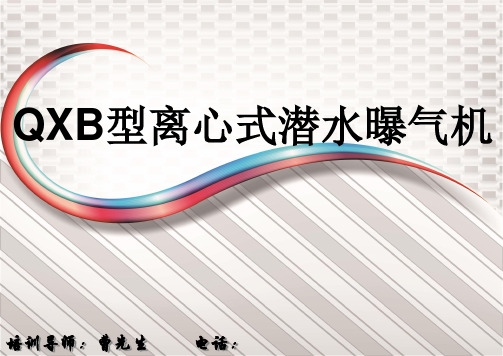 成都QXB型潜水曝气机四川离心式潜水曝气机精品PPT课件