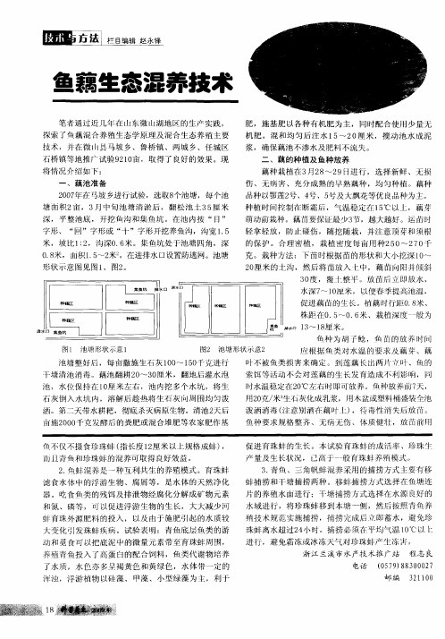 鱼藕生态混养技术