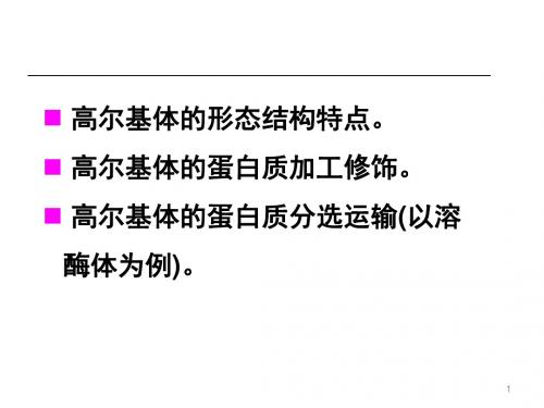 溶酶体及过氧化物酶体-课件