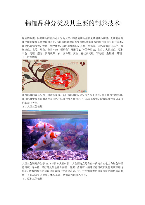 锦鲤品种分类及其主要的饲养技术