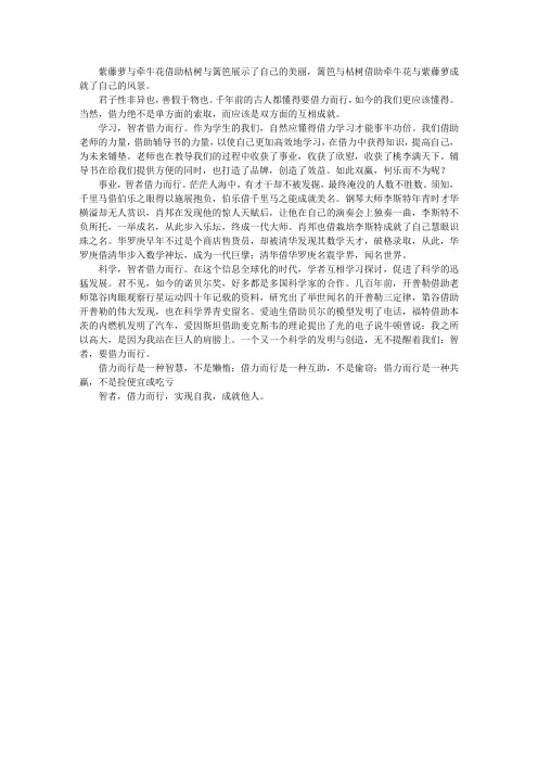 智者,借力而行