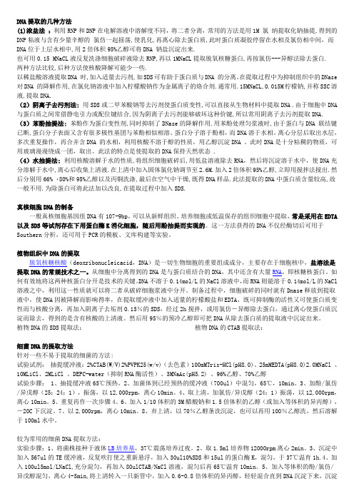 DNA提取