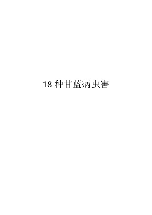 18种甘蓝病虫害