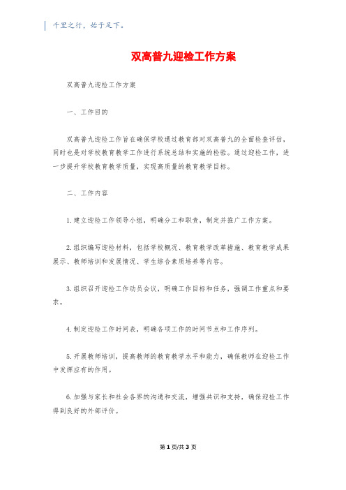 双高普九迎检工作方案