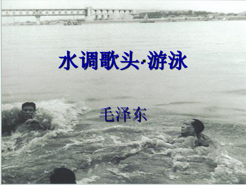 水调歌头游泳