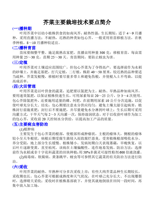 芥菜主要栽培技术要点简介