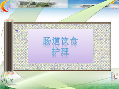 临床医学-护理学-鼻饲,肠道管喂饮食的护理优质课件PPT