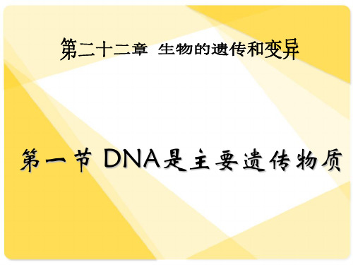 苏教版八年级生物下册第22章第一节 DNA是主要的遗传物质 课件 (27张PPT)