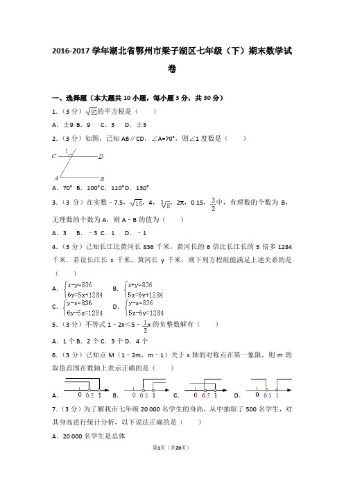 2016-2017学年湖北省鄂州市梁子湖区七年级(下)期末数学试卷