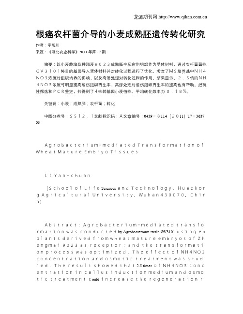 根癌农杆菌介导的小麦成熟胚遗传转化研究