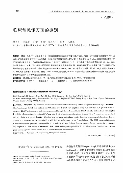 临床常见镰刀菌的鉴别