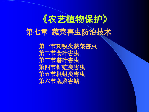 刺吸类害虫