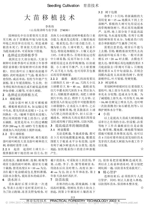 大苗移植技术