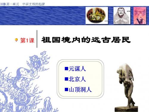 七年级历史上册-第一课祖国境内的远古居民