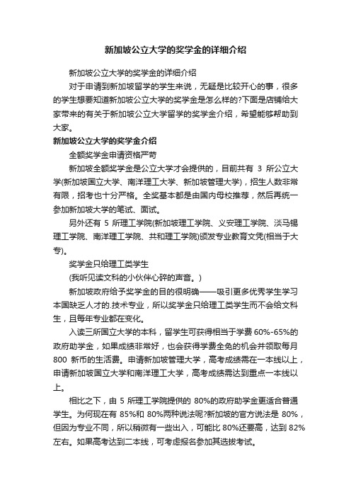 新加坡公立大学的奖学金的详细介绍