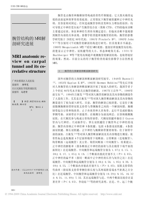 腕管结构的MRI解剖研究进展