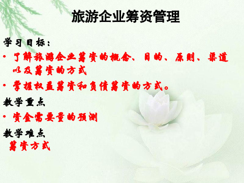 旅游企业筹资管理