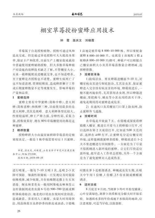 棚室草莓授粉蜜蜂应用技术