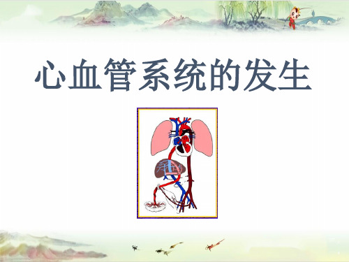 5-1-心血管系统的发生——【人体早期发育 精品讲义】