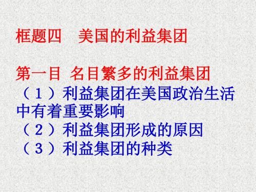 选修3专题三第四框《美国的利益集团》课件