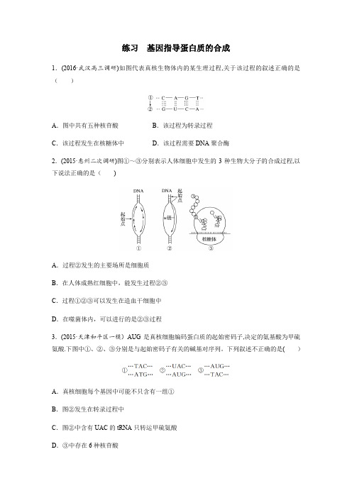 人教版必修二第四章第一节基因指导蛋白质的合成练习题(含答案解释)