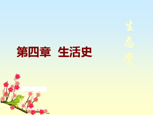 生活史 ppt课件