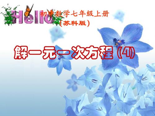 解一元一次方程(4)