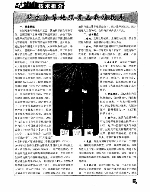 花生除草地膜覆盖栽培技术