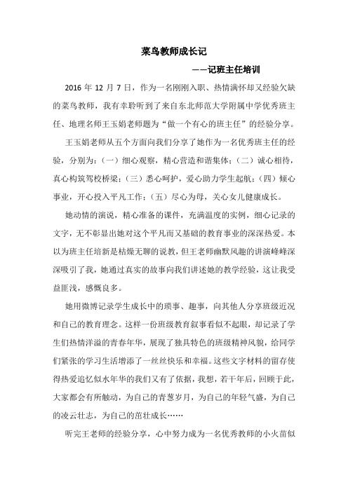 菜鸟教师成长记 鲁芮辰