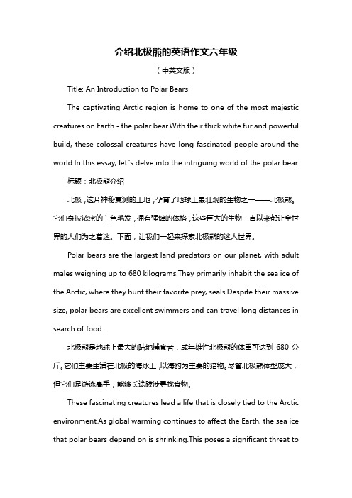 介绍北极熊的英语作文六年级