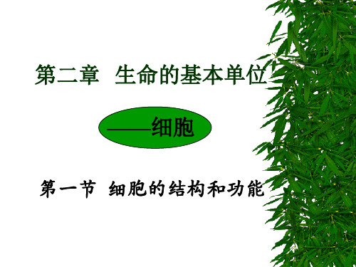 细胞膜分子结构和结构特点