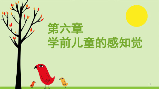 学前儿童幼儿发展心理学 第4章 学前儿童的感觉和知觉