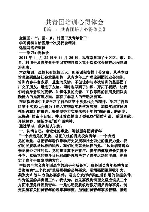 共青团培训心得体会