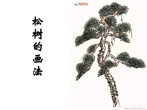 五年级美术下册第11课《学画松树》课件1人教版