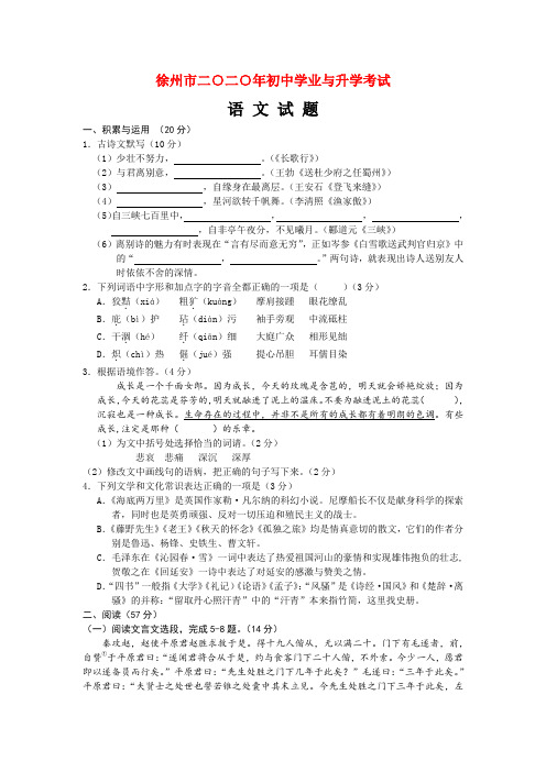 2020年江苏省徐州市中考语文试卷word解析版