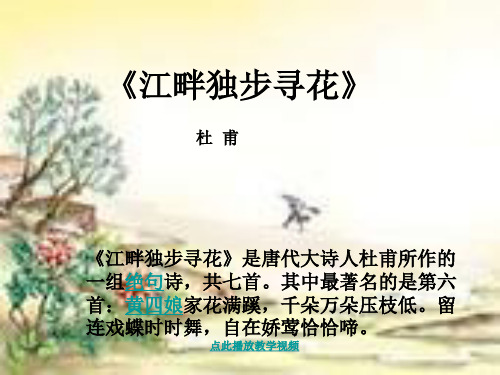 江畔独步寻花4