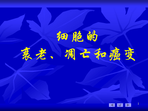【高中生物】细胞的衰老、凋亡和癌变ppt