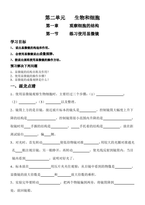 第一节练习使用显微镜