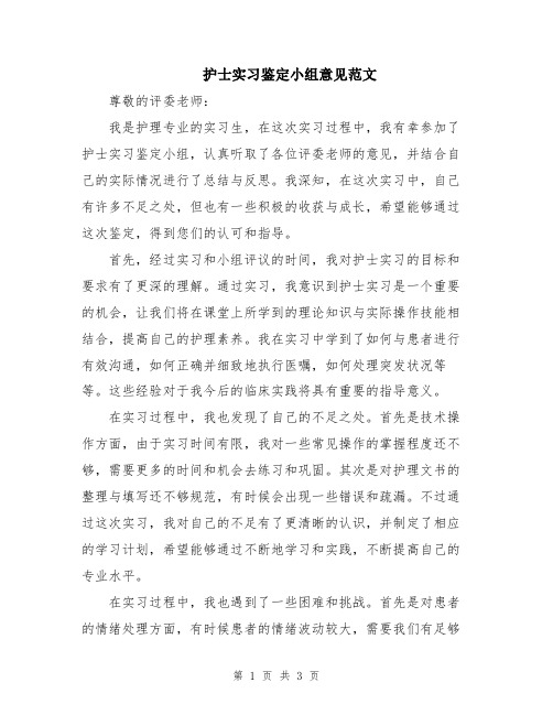 护士实习鉴定小组意见范文