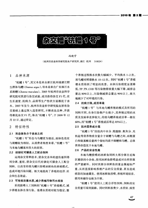 杂交鳢“杭鳢1号”