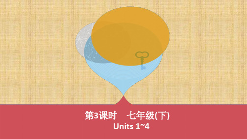 河南人教版中考英语基础教材过关练习 第3课时 七年级(下) Units 1~4