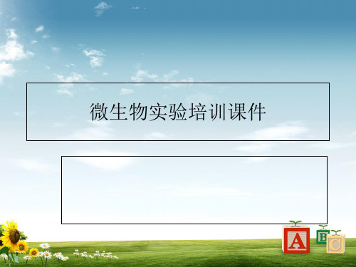 微生物实验培训课件