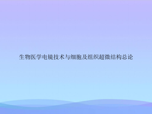 【精品】生物医学电镜技术与细胞及组织超微结构总论-精品资料PPTPPT资料