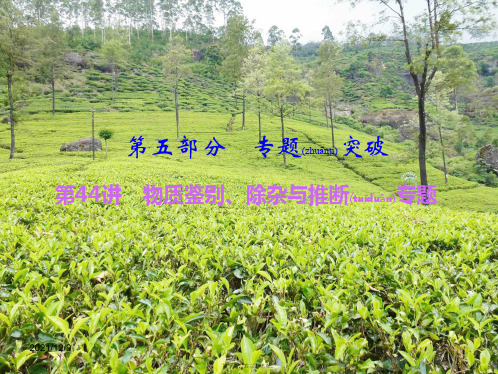 中考科学总复习 第44讲 物质鉴别、除杂与推断专题课件