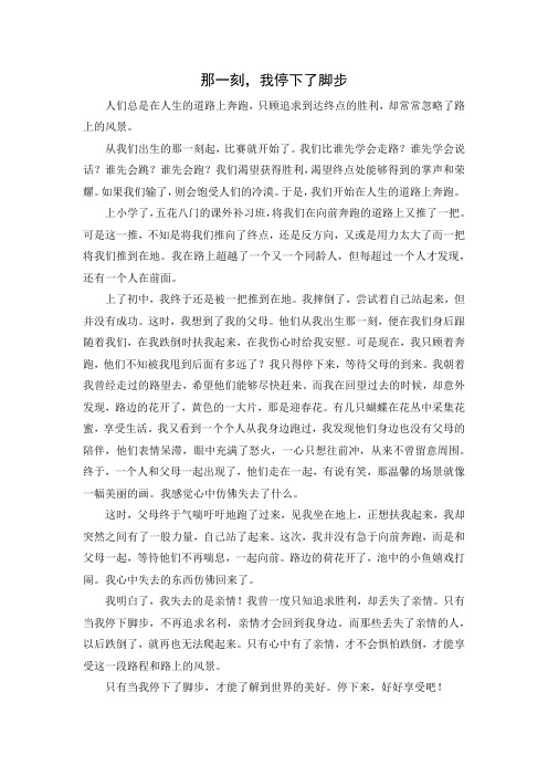 初中作文——话题《那一刻,我停下了脚步》 (18)