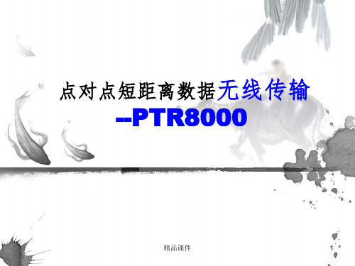 点对点短距离数据无线传输ppt课件