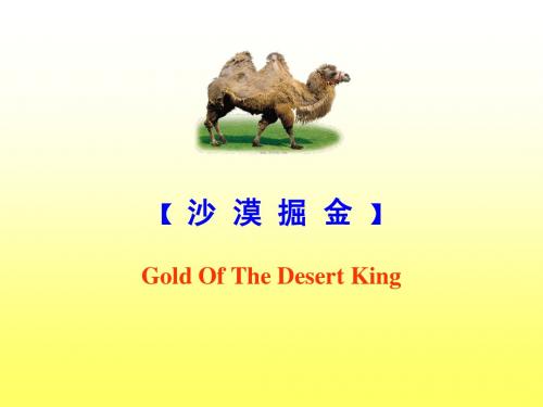 沙漠掘金
